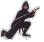 ninja.jpeg